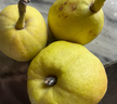 京鲜生 新疆库尔勒香梨 净重10斤 一级 单果100-120g 生鲜水果 实拍图