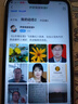 北蔬 细叶韭菜种子苗老品种小叶家庭阳台四季菜种籽 细叶雪韭种子40g 实拍图