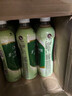统一 阿萨姆煎茶奶绿 450ml*15瓶唐式古风煎茶（新老包装随机发货） 实拍图