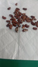 播种心情家庭种植蔬菜种子大全四季播种阳台盆栽农家庭院小菜园有机香菜菠 无架豆种子2包 实拍图