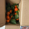 正宗广西桂林马水砂糖橘沙糖桔新鲜水果当季蜜桔桂林橘子贡柑整箱 带箱2斤 净重1.5斤 小果（30-40mm） 实拍图