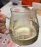 金灶（KAMJOVE）泡茶壶飘逸杯耐热玻璃茶具功夫办公室花茶壶茶水分离杯茶壶A-02 实拍图