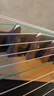 敦煌牌古筝 上海民族乐器一厂21弦古筝 694L 五彩呈祥牡丹图案  实拍图