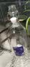 喜碧（Scybe）泡酒容器4斤装泡酒专用瓶空瓶青梅酒果汁饮料分装瓶温顿2000ml 实拍图