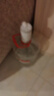 志高（CHIGO）抽水器桶装水 电动抽水泵饮水机纯净水取水器自动上水器MX-H17 实拍图