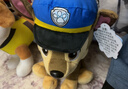 汪汪队立大功（PAW PATROL）毛绒玩具狗狗陪睡玩偶经典款毛毛中号坐姿可爱公仔男女孩生日礼物 实拍图