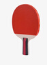 红双喜（DHS） SH横直对拍初学者训练比赛乒乓球拍横直套装01 实拍图