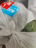 带根香菜100g 实拍图