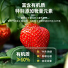 漫生活草莓土15L专用营养土花土种菜土绿植果蔬有机种植土阳台盆栽土壤 实拍图