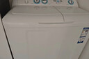 海尔（Haier）半自动双桶洗衣机 10KG 双电机双缸 家电国家补贴以旧换新京东自营 XPB100-81D2 实拍图
