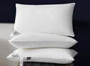 康尔馨希尔顿五星级酒店枕头 抗菌纯棉纤维枕成人家用单人枕头芯 白色 中枕(74*48cm) 一对 实拍图