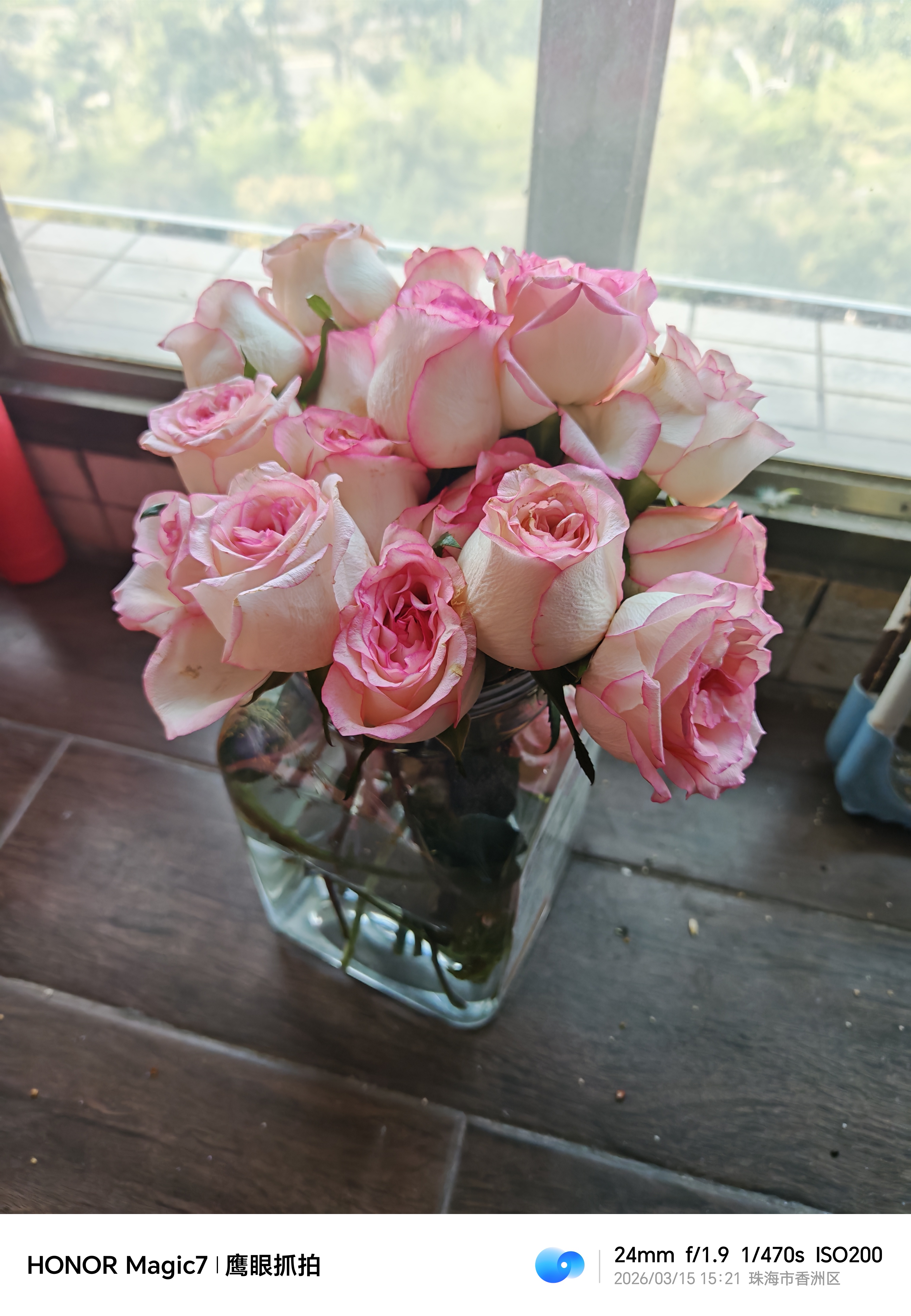艾斯维娜鲜花速递11朵玫瑰花束送女友生日礼物全国同城配送 19朵艾莎玫瑰花束 实拍图