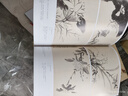 经典全集 徐渭画集 8开中国画临摹画册书籍写意泼墨水墨国画杂花图花鸟技法教材程高清临本册页 初学者花卉名作赏析鉴赏杨建飞主编 实拍图