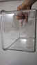 锦绣百年（JINXIUBAINIAN）鱼缸小型乌龟缸水家用客厅水族箱金鱼缸制氧过滤生态桌面塑料透明 小号Mini款【10K透亮缸体】 晒单实拍图