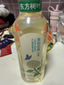 农夫山泉东方树叶茉莉花茶900ml*12瓶无糖茶饮料0糖0脂0卡整箱装 实拍图