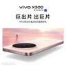 vivo X300 12GB+256GB 自在蓝 蔡司2亿超级主摄 蔡司APO超级长焦 5年持久流畅OriginOS 6 拍照 AI手机 实拍图