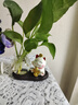 京东鲜花招财猫水培花瓶家居客厅装饰品办公桌面工位摆件水养器皿花盆摆设 实拍图