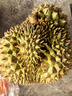 京鲜生 泰国金枕头榴莲 净重5-6斤 1个装 生鲜 新鲜水果 源头直发包邮  实拍图