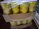 可口可乐（Coca-Cola）怡泉 Schweppes +C 柠檬味 汽水 含维C 330ml*24罐 整箱调酒 实拍图