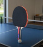 红双喜（DHS）乒乓球拍SH横拍对拍03训练娱乐两拍套装+乒乓球 实拍图