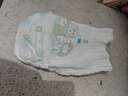 帮宝适超薄透气清新帮拉拉裤新生儿婴儿尿不湿尿片透氧Pro XL62 实拍图