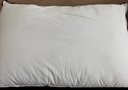 水星家纺枕头枕芯酒店枕头护颈枕头芯家用单个纯棉抗菌可水洗中枕48x74cm 实拍图