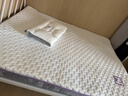 南极人（Nanjiren）乳胶记忆棉床垫1.5米x2米家用软垫榻榻米床褥垫学生宿舍单人垫子 单边款-HL烫画-紫色【厚约6cm】 双人床-150x200cm【抗压回弹】 实拍图