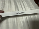 Apple/苹果 Pencil Pro 磁吸触控笔手写笔苹果笔电容笔书写绘画ipad笔 适用于iPad Pro/Air/mini机型 实拍图