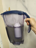 康佳（KONKA）净水壶 家用净水器 自来水过滤器 厨房滤水壶 便携净水杯 KLSH-2501B-E（一壶一芯） 实拍图