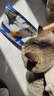 海洋之星低温烘焙猫粮冰川三文鱼猫粮 全价成猫幼猫粮一斤装 实拍图