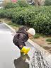 甜甜仔儿童雨鞋幼儿园3-6岁宝宝1-3岁男女童防水防滑水鞋卡通上学雨靴 实拍图