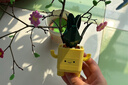 乐高（LEGO）积木玩具花植系列10349快乐盆栽9岁+情人节礼物新年礼物 实拍图