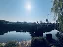 太阳能户外庭院灯无字柿子灯串花园阳台布置农村小院元宵节装饰 【太阳能款】20米72灯柿子灯串-暖光 实拍图