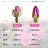 艺福堂花草茶 精品平阴原产胎玫瑰花茶120g 养生茶送母亲不熏硫搭菊花茶 实拍图