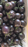 京鲜生 山东寿光黑珍珠小番茄净重2.8斤装 新鲜蔬菜紫色圣女果 源头直发 实拍图
