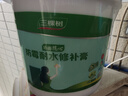 三棵树漆厚涂补墙膏防霉耐水修补家用墙面修复白色墙皮脱落裂缝填补腻子粉 实拍图