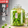 拜杰泡酒容器玻璃泡酒专用瓶密封玻璃瓶酒坛酿酒瓶泡菜坛子泡酒瓶 实拍图
