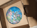 得力(deli)25cm万向地球仪居家摆设标准教学版书桌装饰摆件家用学生教师节男孩生日开学礼物 实拍图