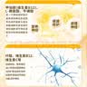 宠莱富宠安舒甲钴胺宠物狗狗神经炎猫咪癫癫痫瘫痪惨叫抽搐狗神经营养补充胶囊 甲钴胺宠安舒 30粒*1瓶 实拍图