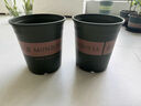九千谷花盆加仑盆塑料花盆家用园艺种植小花盆带托盘14*14cm 2个装5051 实拍图