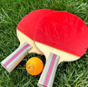 红双喜（DHS）乒乓球拍SH横拍对拍03训练娱乐两拍套装+乒乓球 实拍图