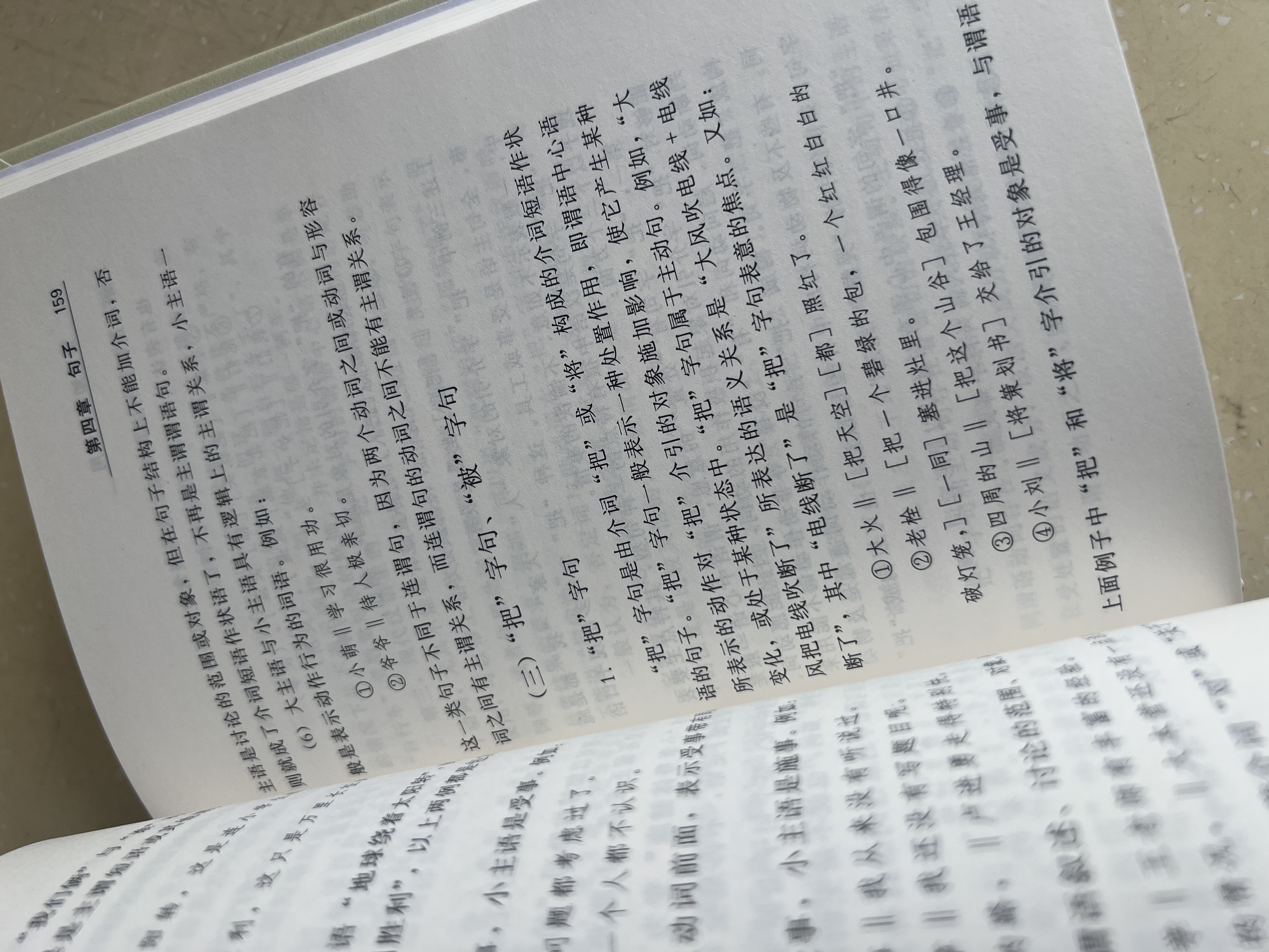语法知识和运用 汉语学习 2021最新版  标点符号运用 语法错误 写作通用 汉语知识 实拍图