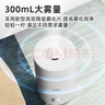 美菱（MeiLing）加湿器空气加湿器 家用轻音卧室大容量大雾量孕妇婴儿净化空气小型空调喷雾上加水加湿器 MH-T139 【大雾量加湿】标准款 实拍图