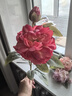 花点馨意仿真花牡丹花假花中式复古绢花摆件餐厅桌面高档装饰花 3支混色 实拍图