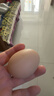 京鲜生 无抗保洁鲜鸡蛋30枚/盒 健康轻食 礼盒送礼 1.5kg/盒 源头直发 实拍图