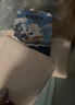 拓宠加厚狗狗尿垫猫咪生产隔尿训导兔子芦丁鸡垫消臭竹炭尿片XL码20片 实拍图