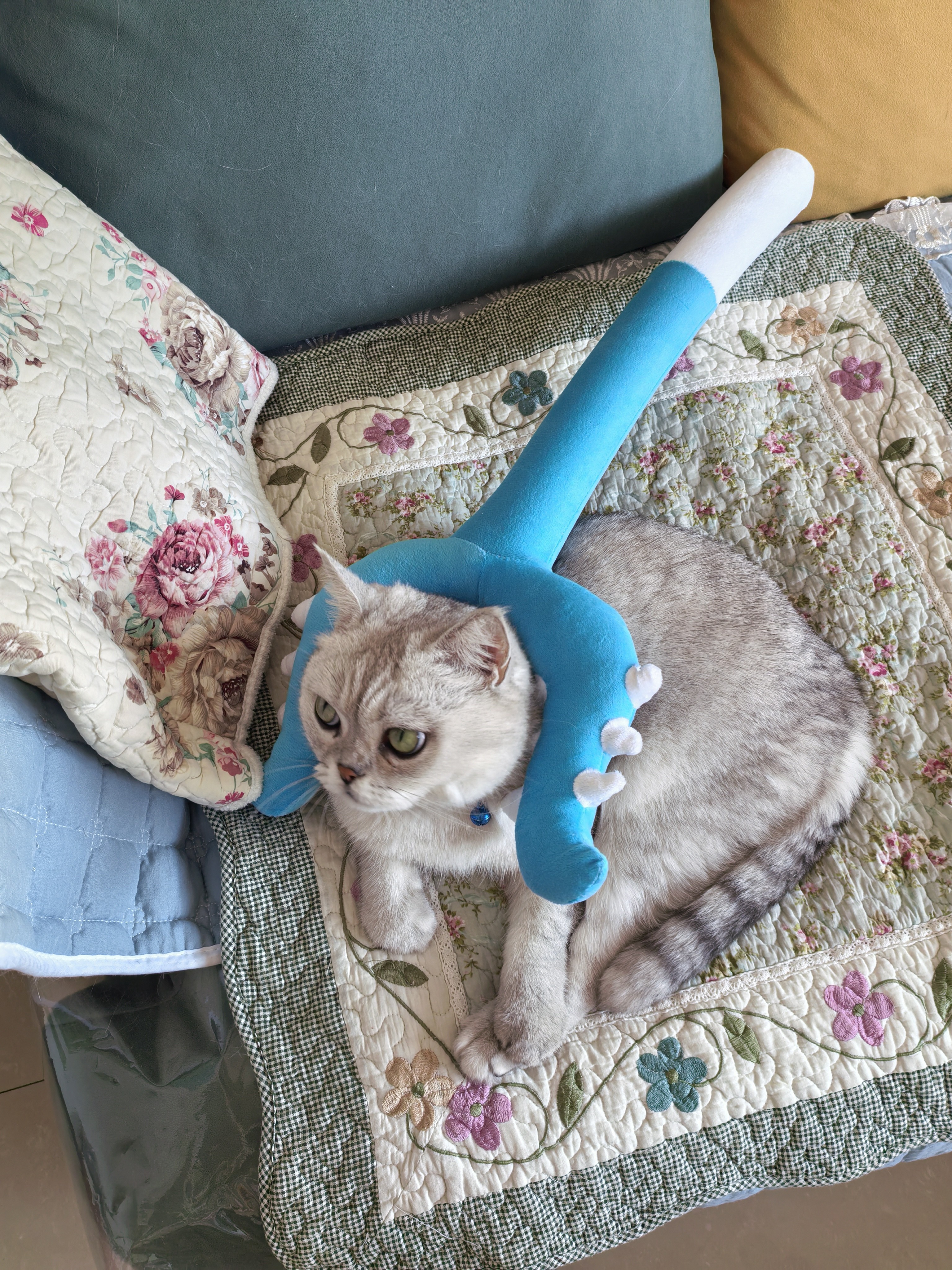 毛绒讨伐棒chiikawa乌猫咪宠物吉伊卡哇小八儿童玩具叉子叉猫冬日 蓝色讨伐棒1个装 颜色款式随机发 实拍图