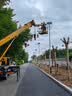 市电路灯6米 太阳能路灯8米 双臂路灯10米高杆灯太阳能庭院灯厂家 太阳能路灯6-8米定制 实拍图