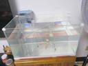 森森  超白玻璃小鱼缸HWK-600p+意牌6W壁挂过滤 实拍图