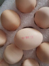 京鲜生 无抗保洁鲜鸡蛋30枚/盒 健康轻食 礼盒送礼 1.5kg/盒 源头直发 实拍图